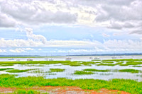Beaufort SC