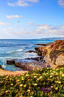 San Diego, Sunset Cliffs CA