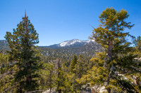 Mt. San Jacinto CA